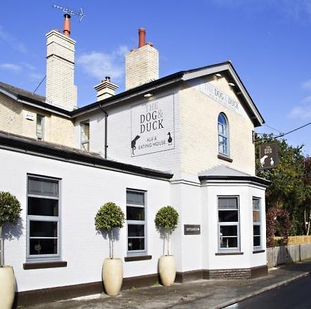 The Dog And Duck Suffolk Apartment Woodbridge Bagian luar foto
